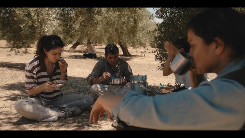 LA O CAPACHA ACEITES GARCIA MORON