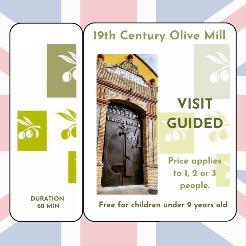 Visit Guided (Price applies to 1, 2 or 3 people.)