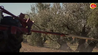 HERBICIDA ACEITES GARCIA MORON