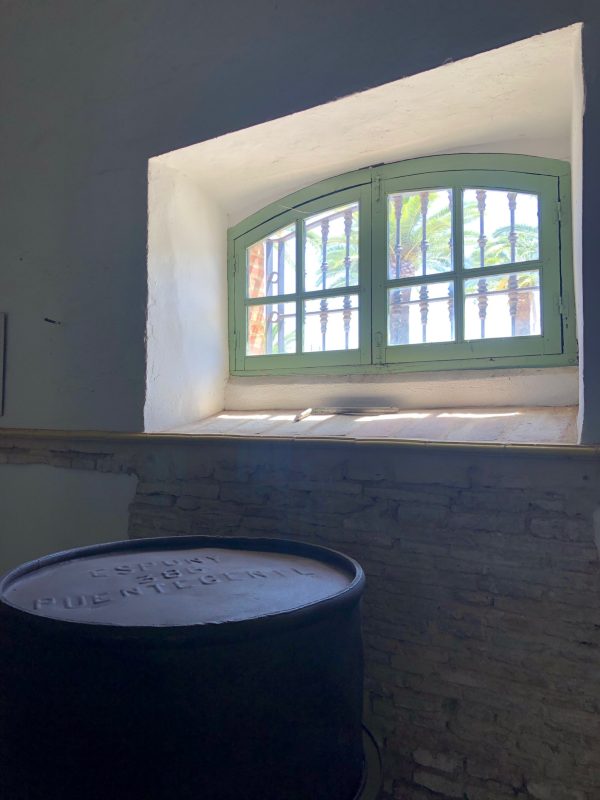 ALMAZARA MAS ANTIGUA 4