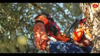 PODA ACEITES GARCIA MORON