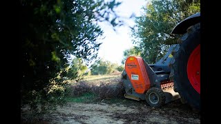 TRITURADO RAMAS ACEITES GARCIA MORON