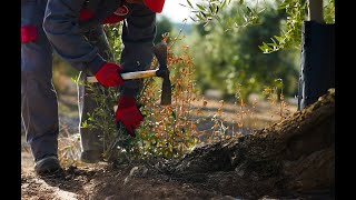 VARETA ACEITES GARCIA MORON